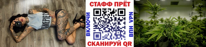 APVP Камызяк